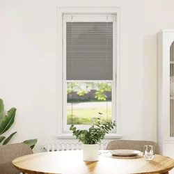 vidaXL Plisirana žaluzija Antracit 40x100 cm Širina tkanine 39,4 cm