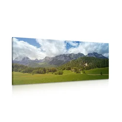 Slika barvita Avstrija - 100x50