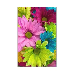 CONCEPTUM HYPNOSE Tepih (80 x 120) WOOKECE070