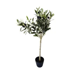 Lilium stablo masline 68 cm 957448