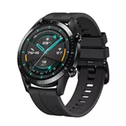 HUAWEI pametni sat Watch GT2