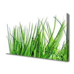 tulup.si Slika na platnu Grass on wall 120x60 cm