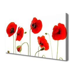 tulup.si Slika na platnu Rastlinskih mak naravi 125x50 cm