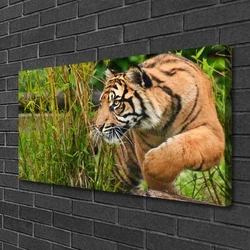 tulup.si Slika na platnu Tiger živali 100x50 cm