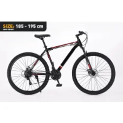 Xplorer MTB bicycle MATTERHORN Black 29