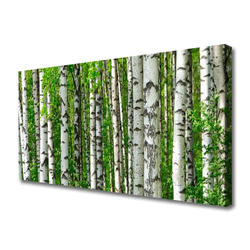 tulup.si Slika na platnu Narava rastlin forest trees 140x70 cm