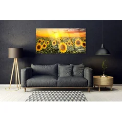 tulup.si Steklena slika Sončnice 140x70 cm 2 obešalnika