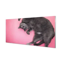 tulup.si Steklena slika Leži mačka 100x50 cm 4 obešalnika