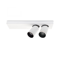 LED plafonsko spot svetlo BERGEN 2xLED/11W/230V