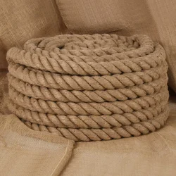 vidaXL Vrv iz jute 10 m dolžina 60 mm debelina