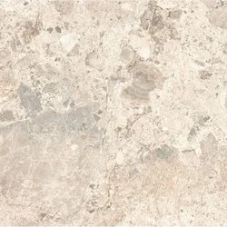Terrazzo Rettificato 59x59