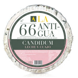 La Antigua sir CANDIDUM No.66