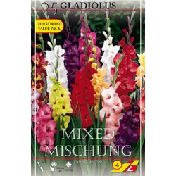 Čebulice Gladiola mešano, 25 kosov