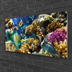 tulup.si Steklena slika Barrier reef narava 100x50 cm 2 obešalnika