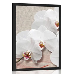 Plakat bela orhideja na platnu - 60x90 black