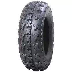 Wanda WP01 ( 21x7.00-10 TL 30N)