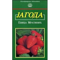 Jagoda