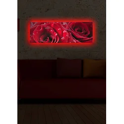 Opviq Slika na platnu sa LED osvetljenjem 30x90cm