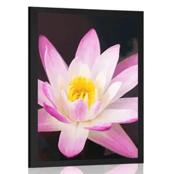 Plakat čudovit lokvanj - 30x45 silver