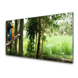 tulup.si Steklena slika Parrot tree narava 120x60 cm 2 obešalnika
