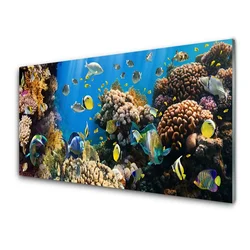 tulup.si Steklena slika Barrier reef narava 120x60 cm 4 obešalnika