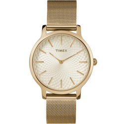 TIMEX TW2R36100