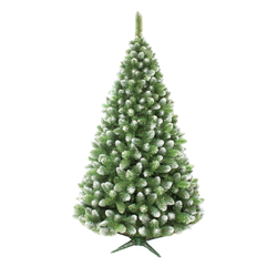 Božićna jelka 220 cm, bor