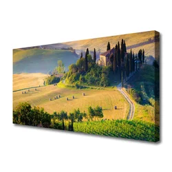 tulup.si Slika na platnu Polje landscape drevesa 140x70 cm