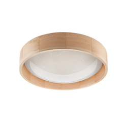 Brilagi - LED prigušiva plafonska svetiljka MANAROLA LED/24W/230V + daljinski upravljač