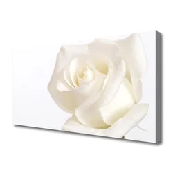 tulup.si Slika na platnu Rose flowers 140x70 cm