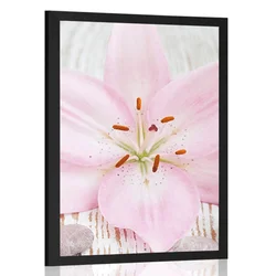 Plakat rožnata lilija in Zen kamni - 30x45 silver
