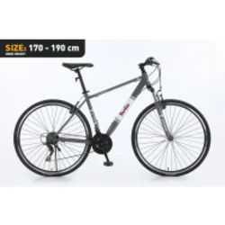 Xplorer City bike BERLIN Gray 28