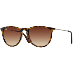 Ray-Ban Erika Naočare za sunce RB 4171 865/13