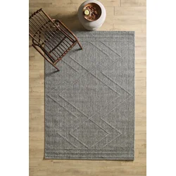 CONCEPTUM HYPNOSE Tepih (200x290) Patara 4954 Grey