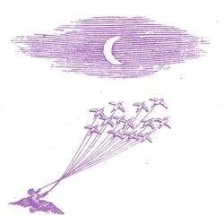 Feeling Figures - Migration Magic (Limited Edition) (LP)