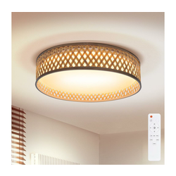 Brilagi - LED prigušiva plafonska svetiljka CAMILA LED/48W/230V 3000-6500K + daljinski upravljač