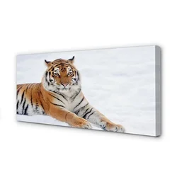 tulup.si Slika na platnu Tiger zima 120x60 cm