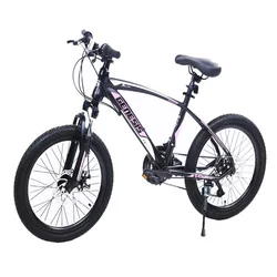 WINNER BIKE BIC.20/6 SUS GENESIS VALVET