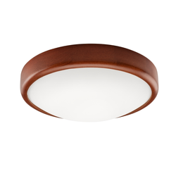 LED plafonsko svetlo LED/12W/230V