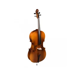 Violončelo 1/4 Melodi II s torbo