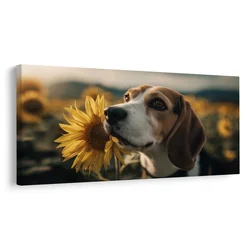 Slika beagle s sončnico - 100x50