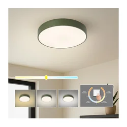 Brilagi - LED plafonsko svetlo POOL LED/36W/230V 3000/4000/6000K 30 cm zeleno