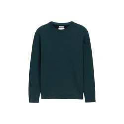TOM TAILOR Pulover temno zelena