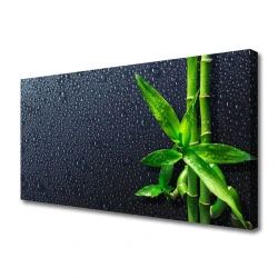 tulup.si Slika na platnu Bambus stem rastlin nature 100x50 cm