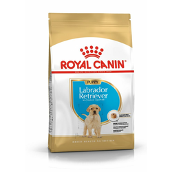 Royal Canin hrana za mlade labrador retrivere Labrador Retriever Junior 12 kg