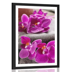 Plakat s paspartujem čudovita orhideja in Zen kamni - 20x30 no frame