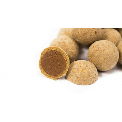 Nash pop-up Scopex Squid Cultured