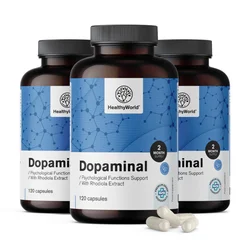 Dopaminal – Dopamine Support, 120 kapsul
