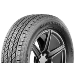 Antares Majoris R1 ( 295/45 ZR20 114W XL )