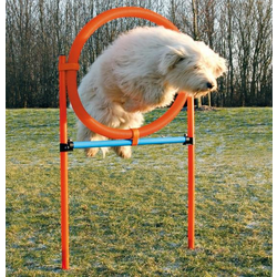 Trixie Agility krug
